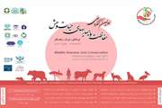 اولین کنگره ملی حفاظت و بیماریهای حیات وحش