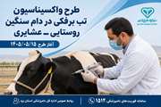 طرح واکسیناسیون تب برفکی در جمعیت دام سنگین روستایی ـ عشایری