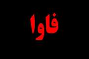 برگزاری سومین جلسه تبادل نظر و هماهنگی با دفتر فناوری اطلاعات، ارتباطات و هوشمند سازمان دامپزشکی 