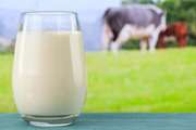 نوشیدن شیر سالم