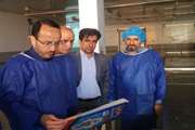 بازدید رئیس سازمان دامپزشکی کشور از کشتارگاه مرغ شیرکوه