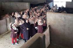 دانش‌آموزان اردکانی با شغل دامپزشکی و نقش آن در سلامت جامعه آشنا شدند