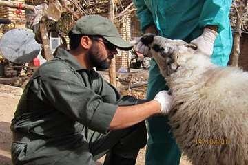 فعالیت های بخش اداره مبارزه