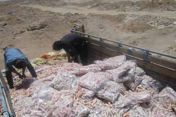 فعالیت های بخش نظارت