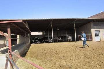 فعالیت های بخش اداره مبارزه