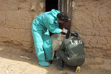 فعالیت های بخش اداره مبارزه