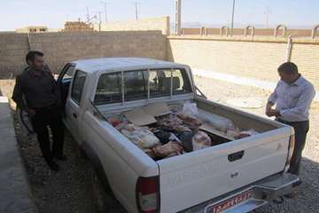 فعالیت های بخش نظارت