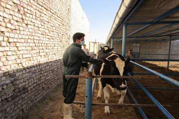 فعالیت های بخش اداره مبارزه