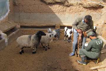 فعالیت های بخش اداره مبارزه