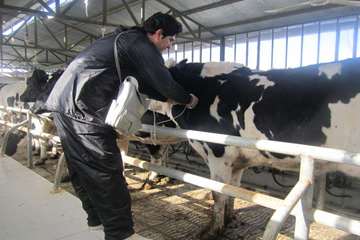 فعالیت های بخش اداره مبارزه