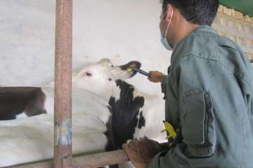 فعالیت های بخش اداره مبارزه