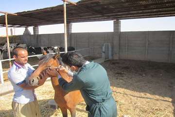 فعالیت های بخش اداره مبارزه