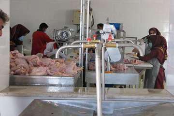 فعالیت های بخش نظارت