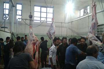 94/6/22، فعالیت اکیپ شبکه های دامپزشکی در روز عید سعید قربان