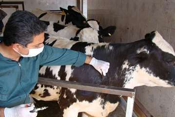 فعالیت های بخش اداره مبارزه