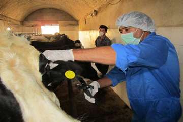 فعالیت های بخش اداره مبارزه