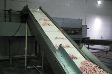 فعالیت های بخش نظارت