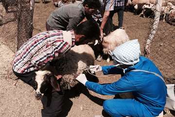 فعالیت های بخش اداره مبارزه