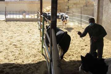 فعالیت های بخش اداره مبارزه