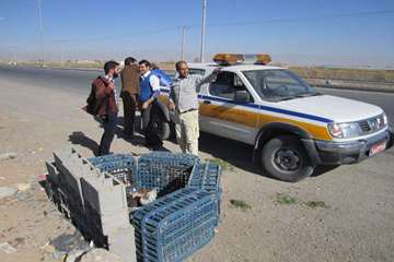 فعالیت های بخش نظارت