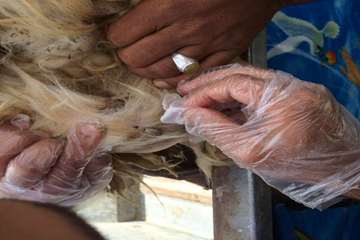 فعالیت های بخش اداره مبارزه