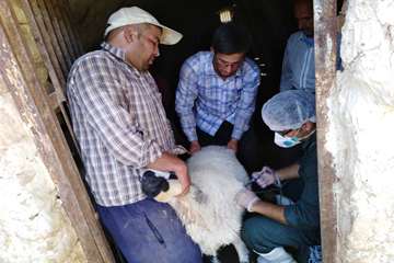 اجرای طرح واکسیناسیون آبله در شهرستان ابرکوه