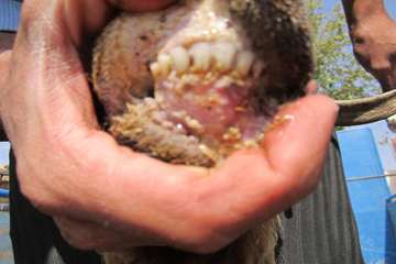 فعالیت های بخش اداره مبارزه