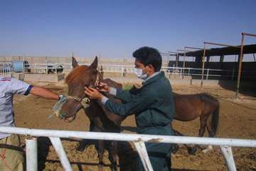 فعالیت های بخش اداره مبارزه