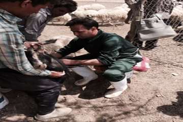 فعالیت های بخش اداره مبارزه