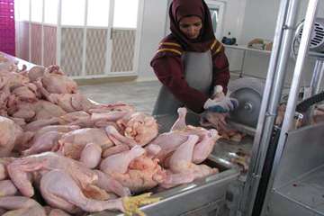 فعالیت های بخش نظارت