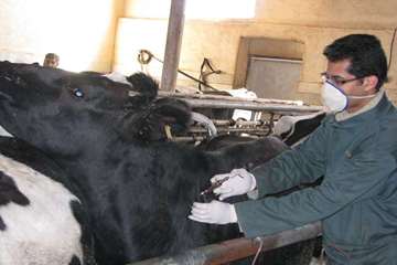 فعالیت های بخش اداره مبارزه