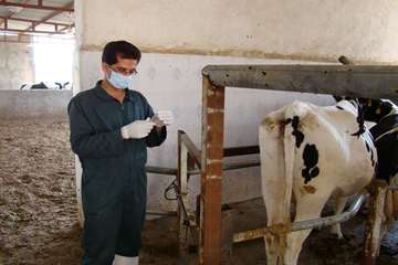 فعالیت های بخش اداره مبارزه