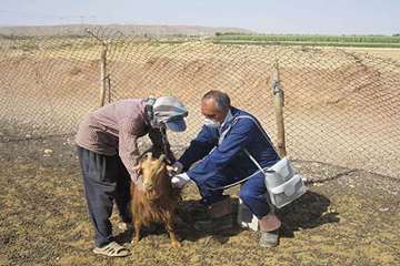 فعالیت های بخش اداره مبارزه