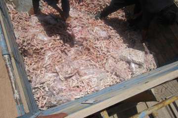 فعالیت های بخش نظارت