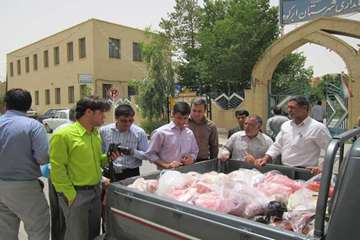 فعالیت های بخش نظارت