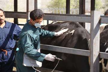 فعالیت های بخش اداره مبارزه