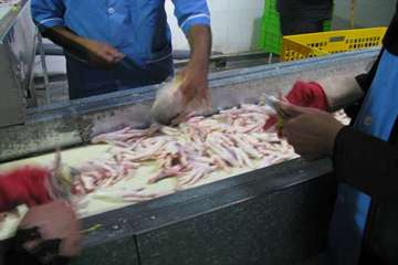 فعالیت های بخش نظارت