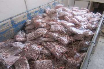 فعالیت های بخش نظارت