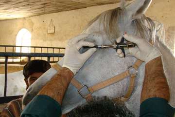 فعالیت های بخش اداره مبارزه