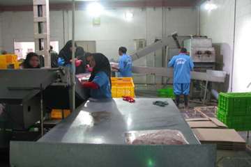 فعالیت های بخش نظارت