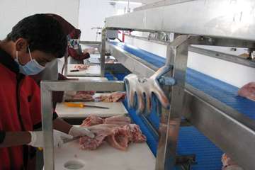 فعالیت های بخش نظارت