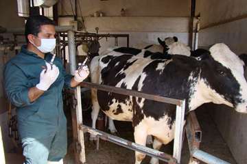 فعالیت های بخش اداره مبارزه