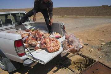 فعالیت های بخش نظارت