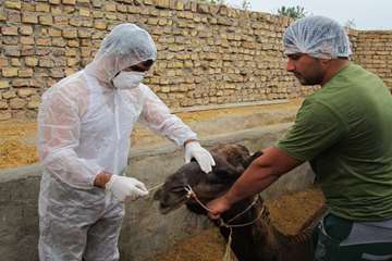 فعالیت های بخش اداره مبارزه