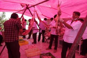 94/6/22، فعالیت اکیپ شبکه های دامپزشکی در روز عید سعید قربان