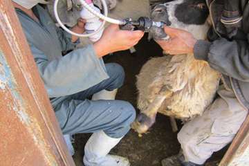 فعالیت های بخش اداره مبارزه