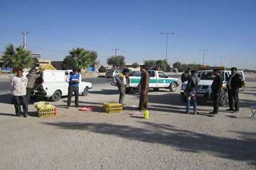 فعالیت های بخش نظارت