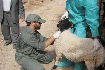 فعالیت های بخش اداره مبارزه