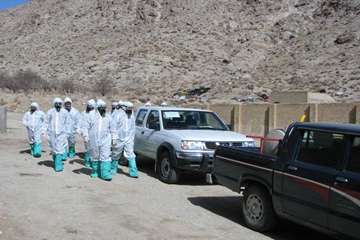 معدوم سازی طیور