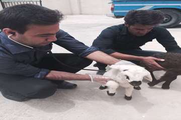 فعالیت های بخش اداره مبارزه